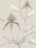 Cole & Son orchid wallpaper 10m x 53cm (British brand)