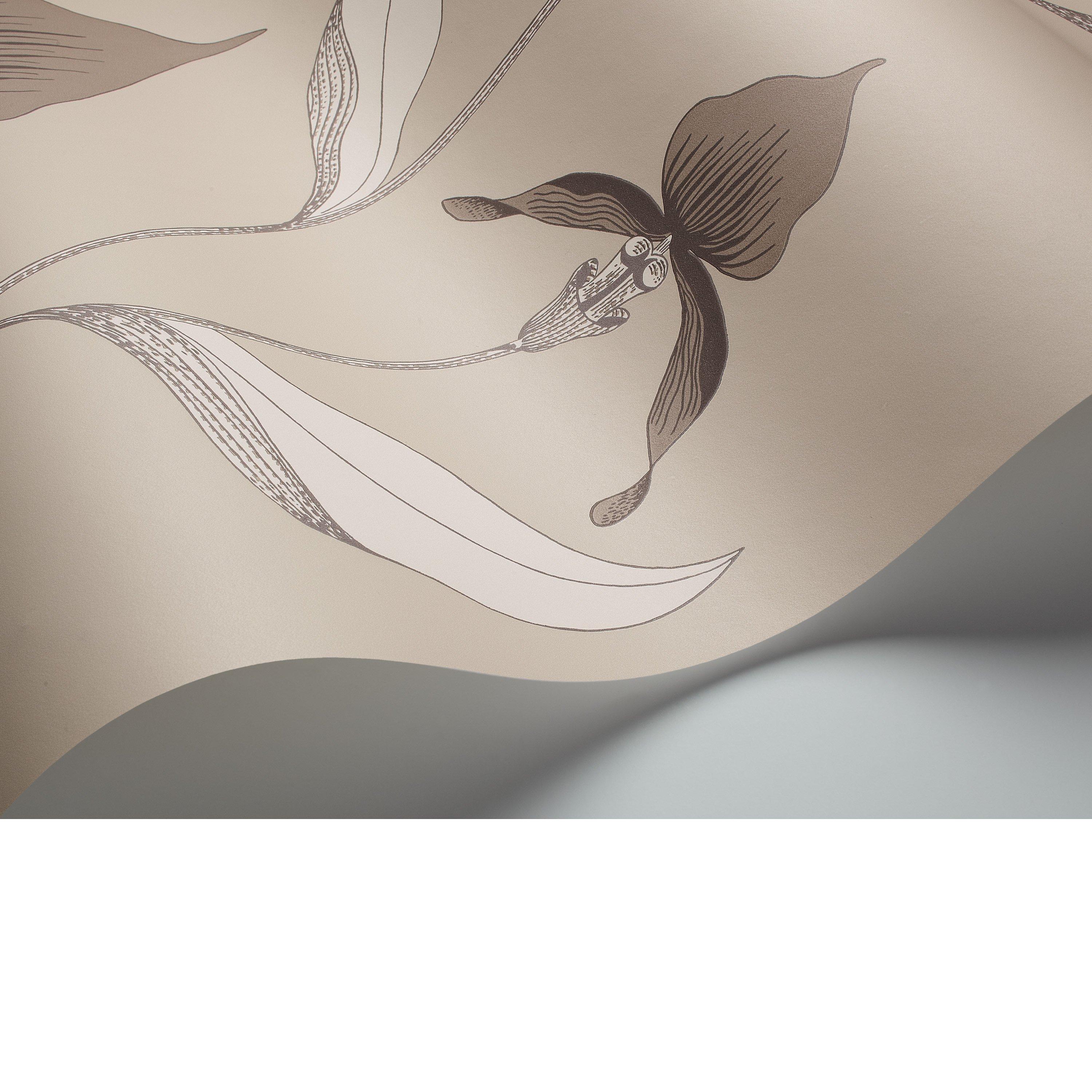 Cole & Son orchid wallpaper 10m x 53cm (British brand)