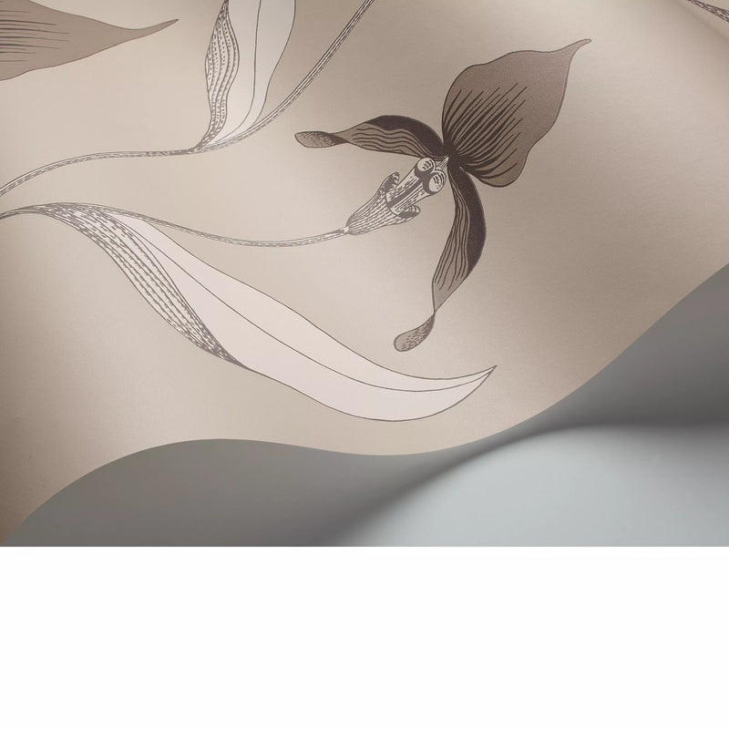 Cole & Son orchid wallpaper 10m x 53cm (British brand)