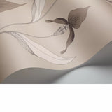 Cole & Son orchid wallpaper 10m x 53cm (British brand)