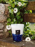 Baobab Feathers Touareg scented candle 1kg - British product