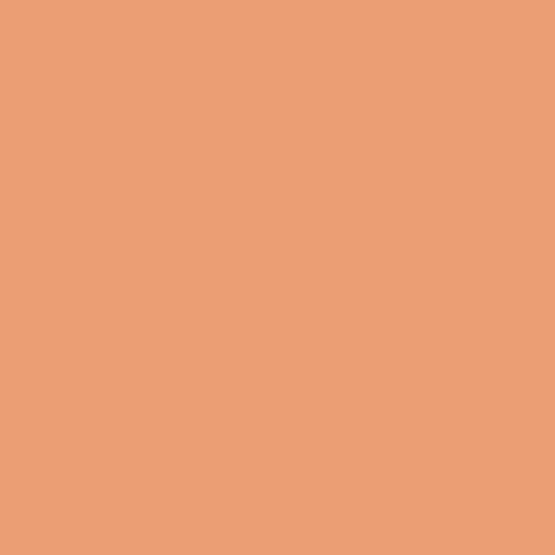 Bobbi Brown eyeshadow Rich Metal 2.5g (British brand)