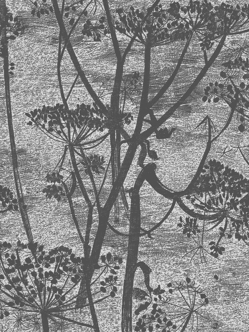 Cole & Son Cow Parsley wallpaper 10m x 53cm - British product