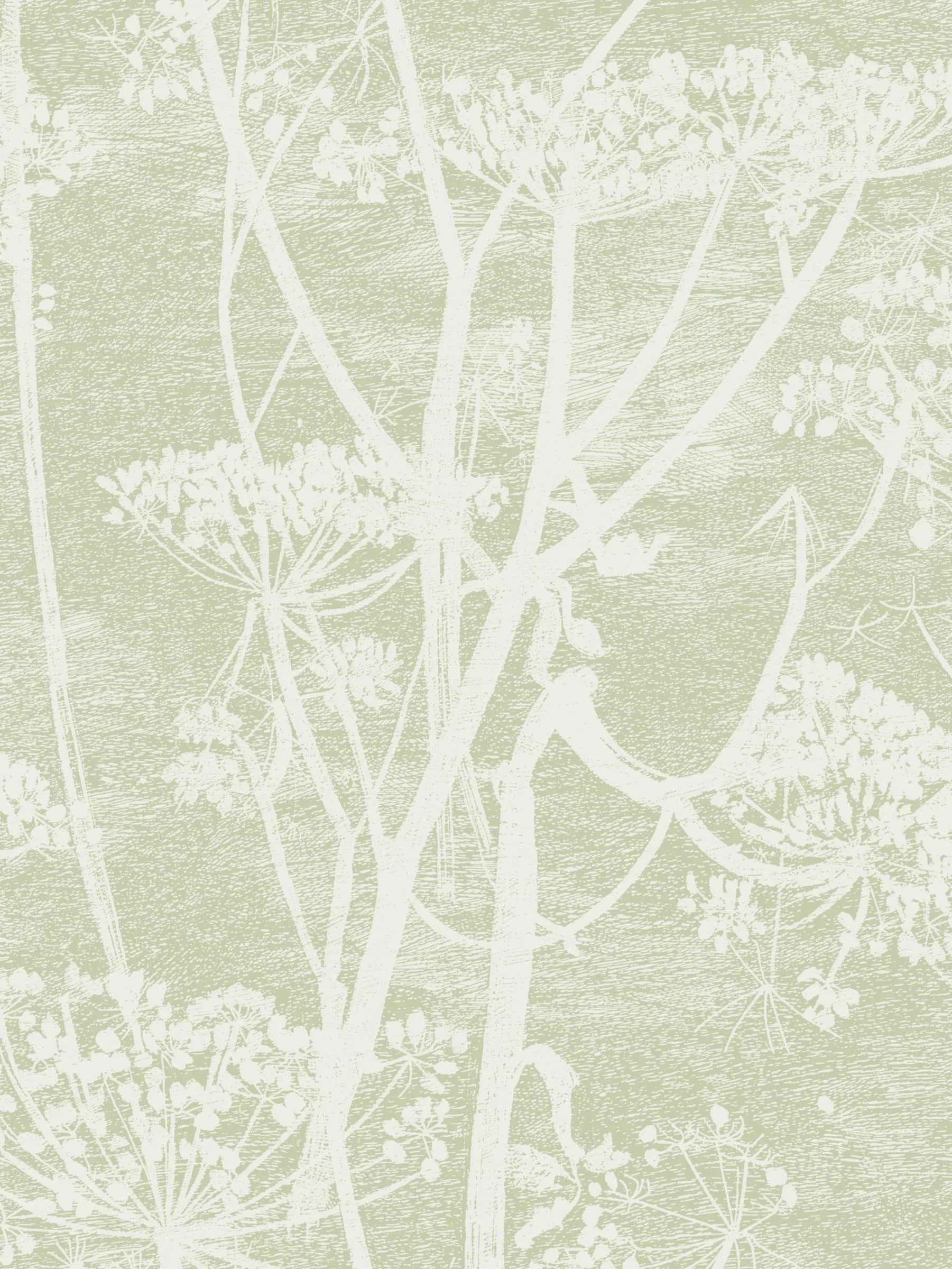 Cole & Son Cow Parsley Wallpaper - 10m x 53cm