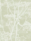 Cole & Son Cow Parsley Wallpaper - 10m x 53cm