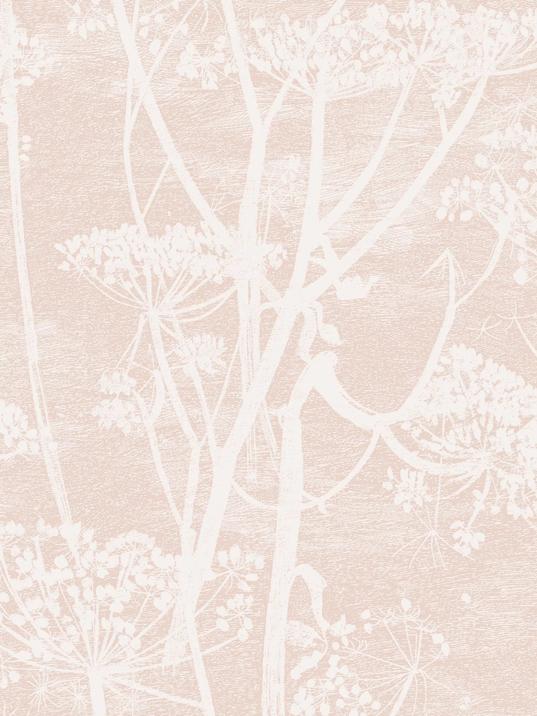 Cole & Son Cow Parsley Wallpaper - 10m x 53cm