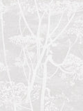 Cole & Son Cow Parsley Wallpaper - 10m x 53cm