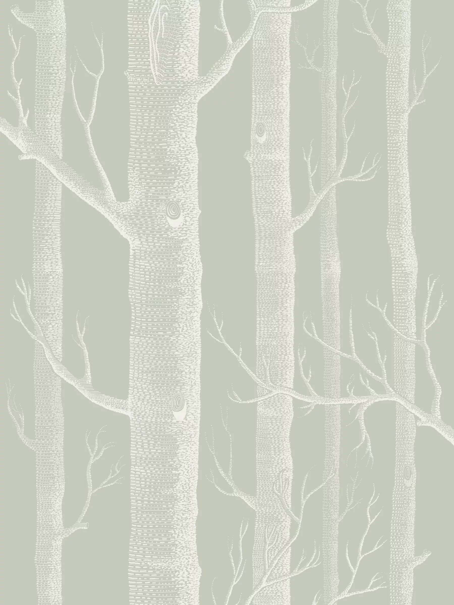 Cole & Son Woods Wallpaper L10m x W52cm