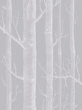 Cole & Son Woods Wallpaper L10m x W52cm