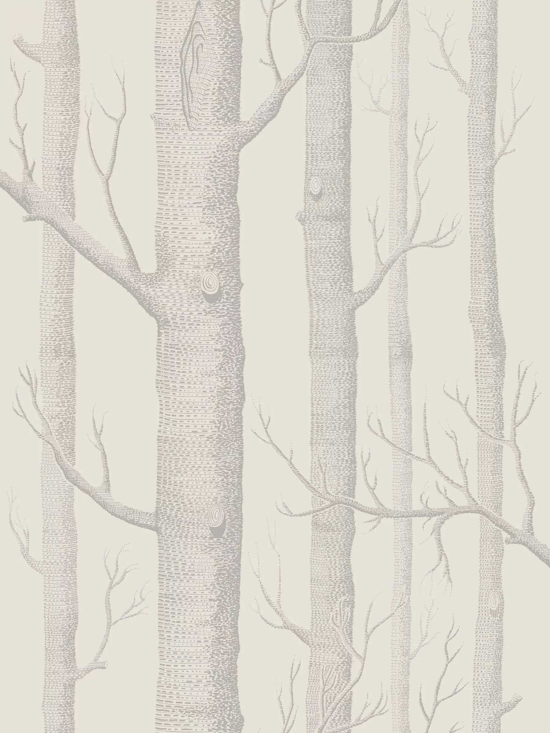 Cole & Son Woods Wallpaper L10m x W52cm
