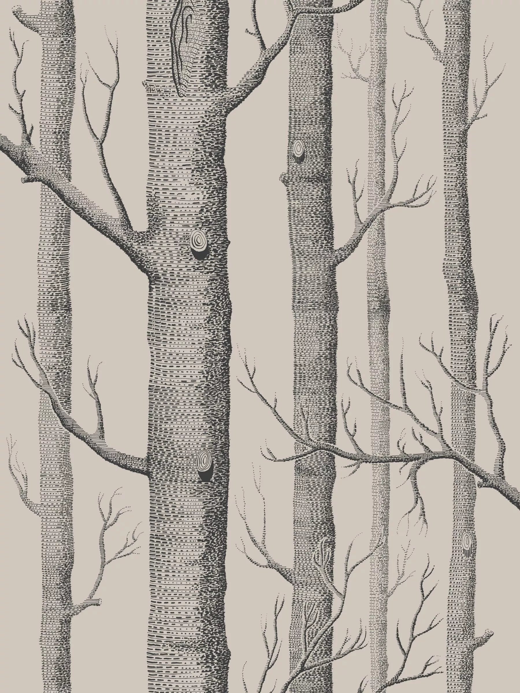 Cole & Son Woods wallpaper leaf pattern 10m x 52cm, UK version