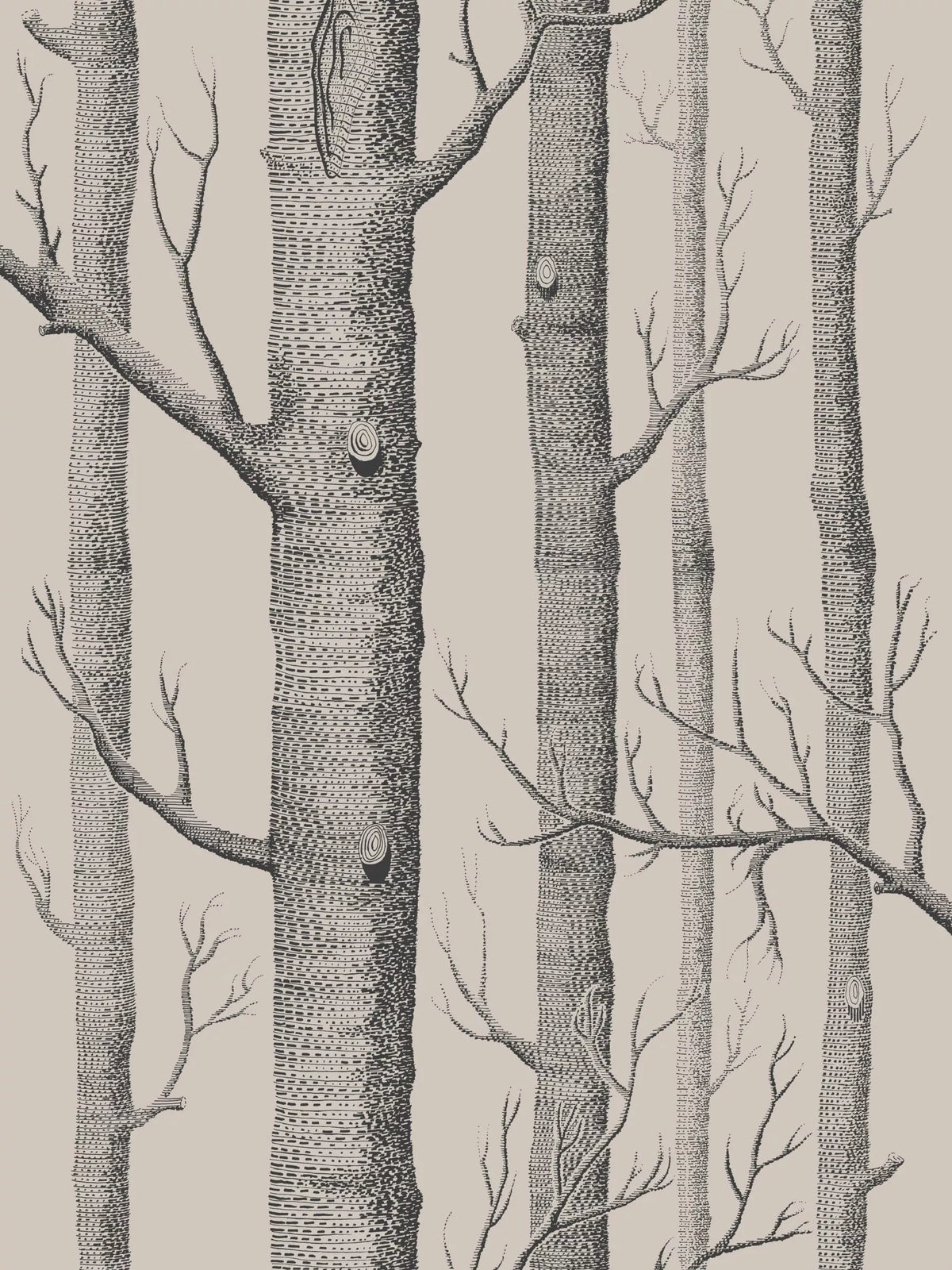 Cole & Son Woods wallpaper leaf pattern 10m x 52cm, UK version