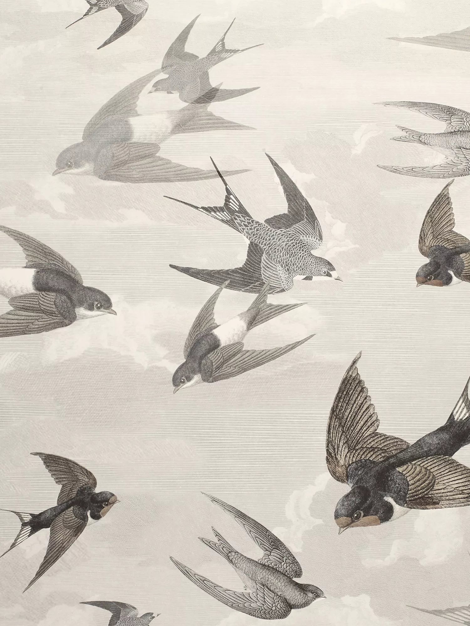 Swallows Design Wallpaper in Sepia - Non-Woven Ground