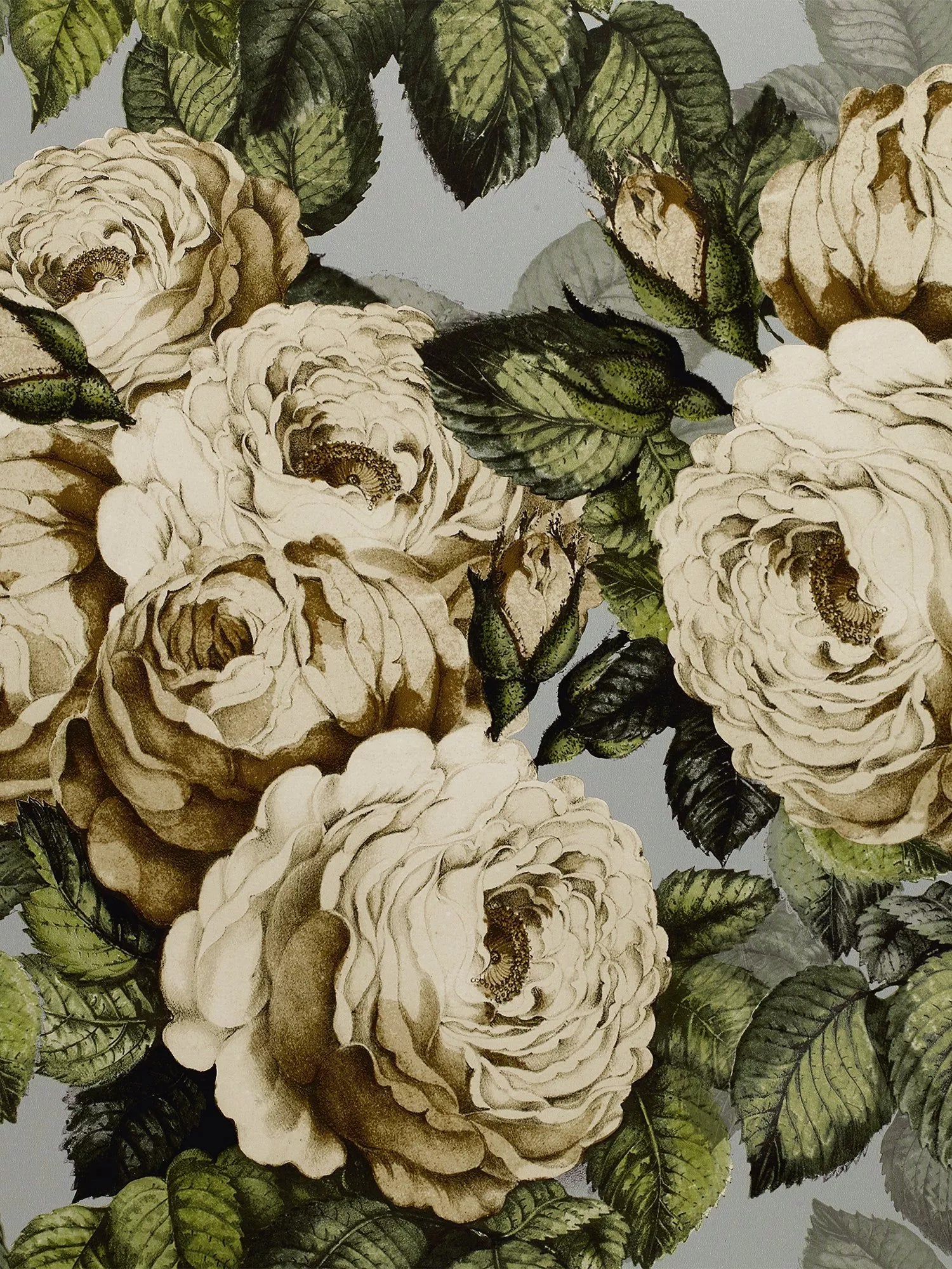 Designers Guild The Rose Wallpaper, PJD6002/06
