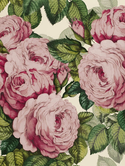 John Lewis Designers Guild The Rose Wallpaper- Buy online at McGrocer