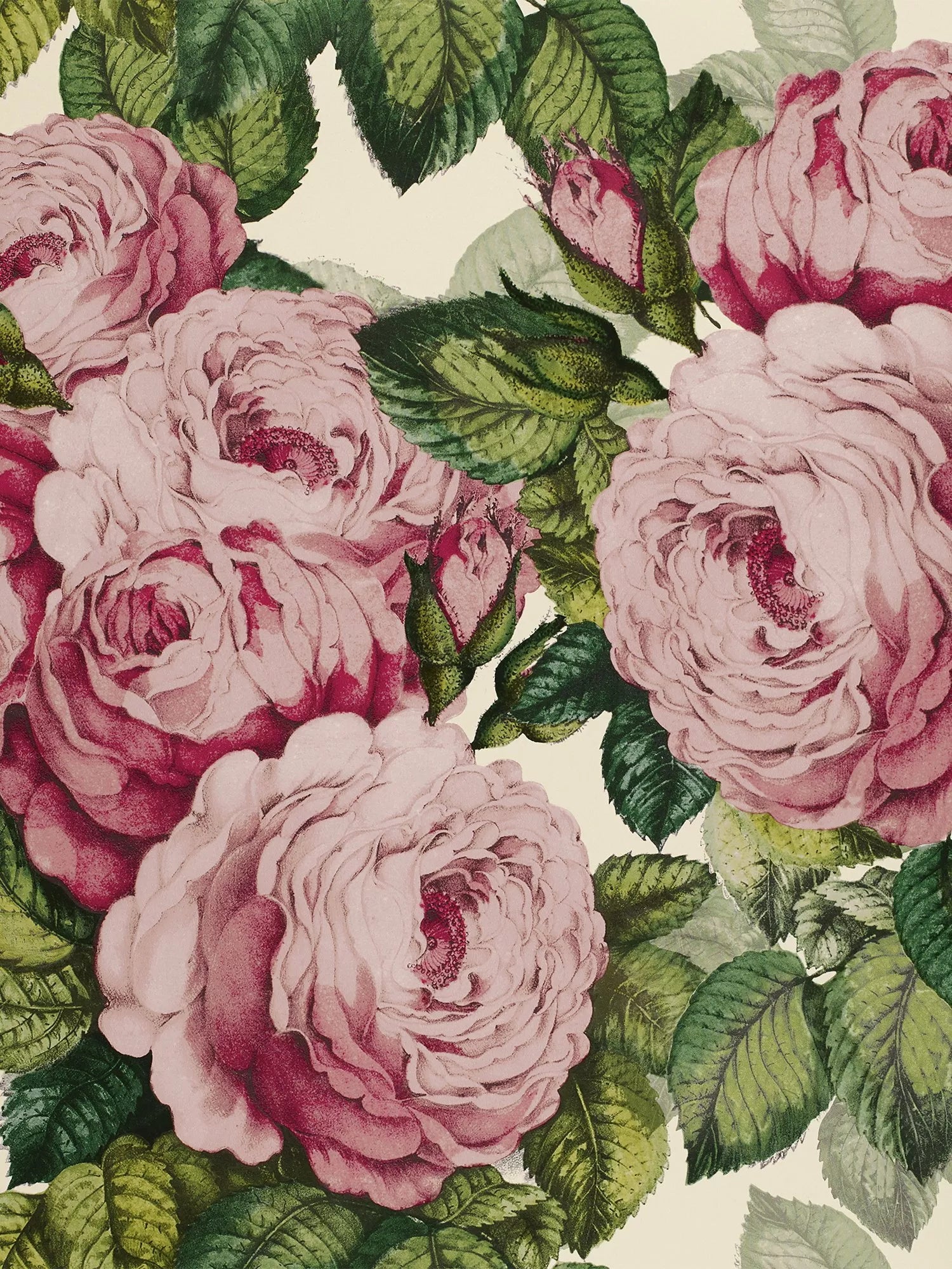 Designers Guild The Rose Wallpaper Pattern - British product