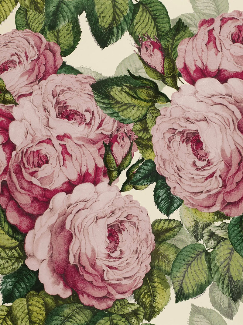 Designers Guild The Rose Wallpaper Pattern - British product