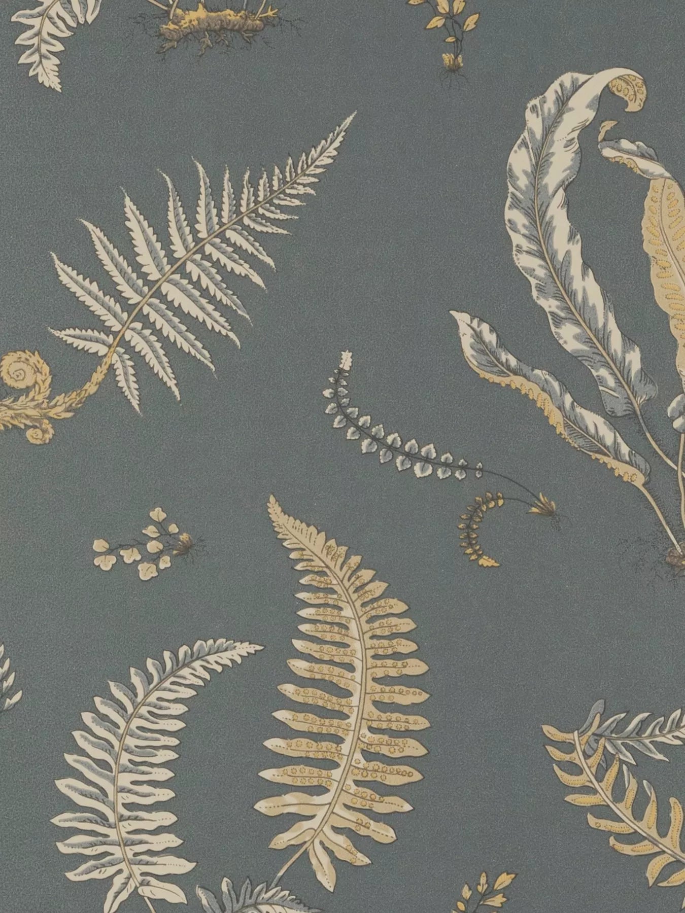 GP & J Baker Ferns Wallpaper 10m x 52cm