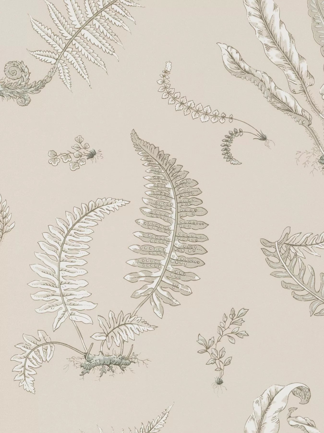 GP & J Baker Ferns Wallpaper 10m x 52cm