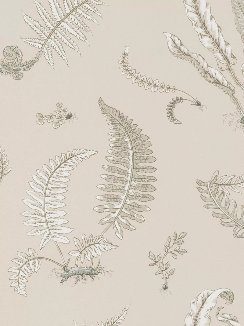 GP & J Baker Ferns Wallpaper 10m x 52cm