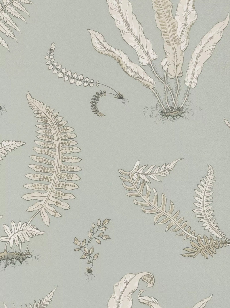 GP & J Baker Ferns Wallpaper 10m x 52cm
