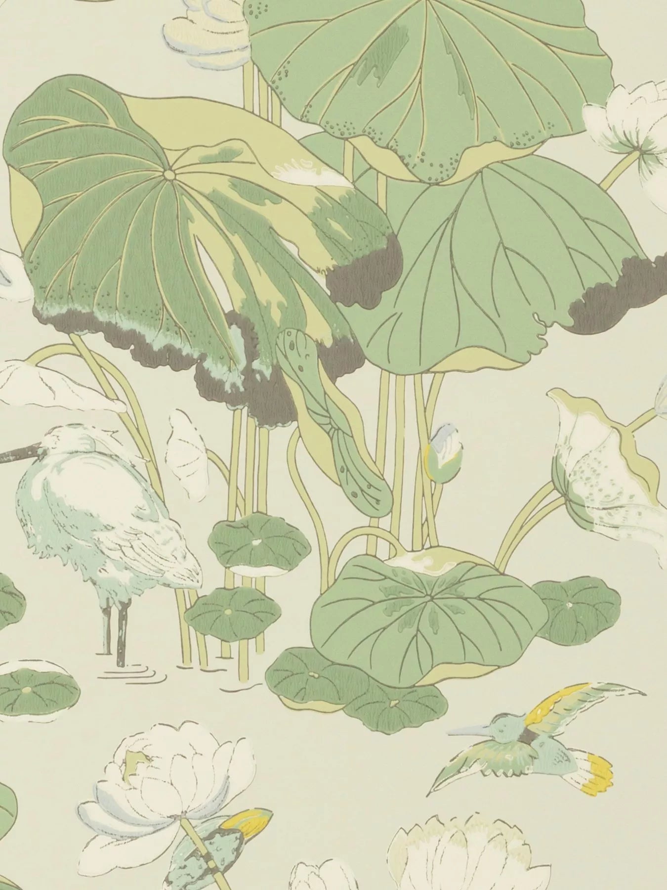 GP & J Baker Nympheus Wallpaper 10m x 52cm