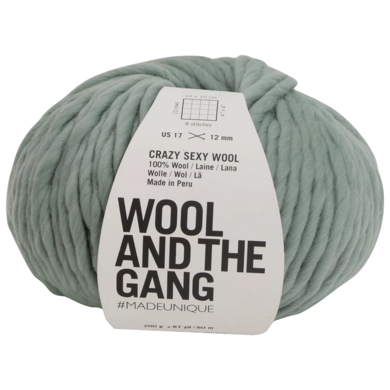 Wool And The Gang Crazy Sexy Wool Super Chunky Yarn 200g