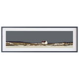 John Lewis framed print of Traigh Mhor beach landscape - British product