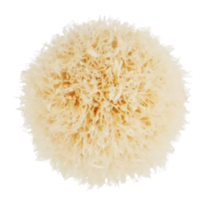 MAC mini tapered blending brush, imported from the UK