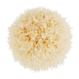 MAC mini tapered blending brush, imported from the UK