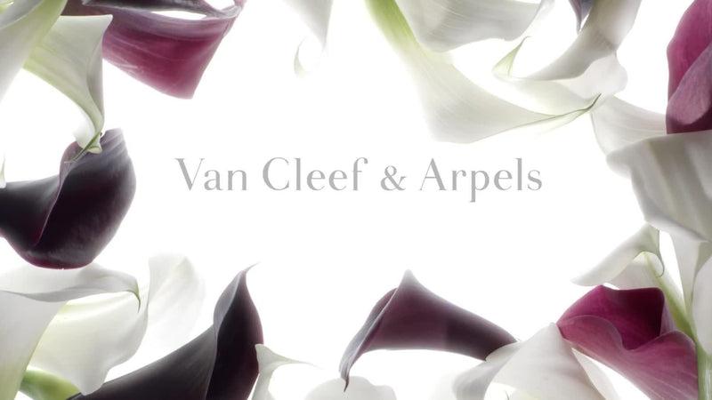 Van Cleef & Arpels Rose Rouge Perfume 75ml - British product