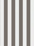 Cole & Son Regatta Stripe Wallpaper