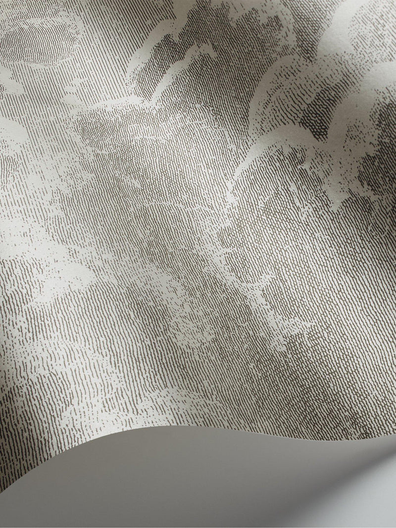 Cole & Son Nuvolette wallpaper set 2 rolls, imported from the UK