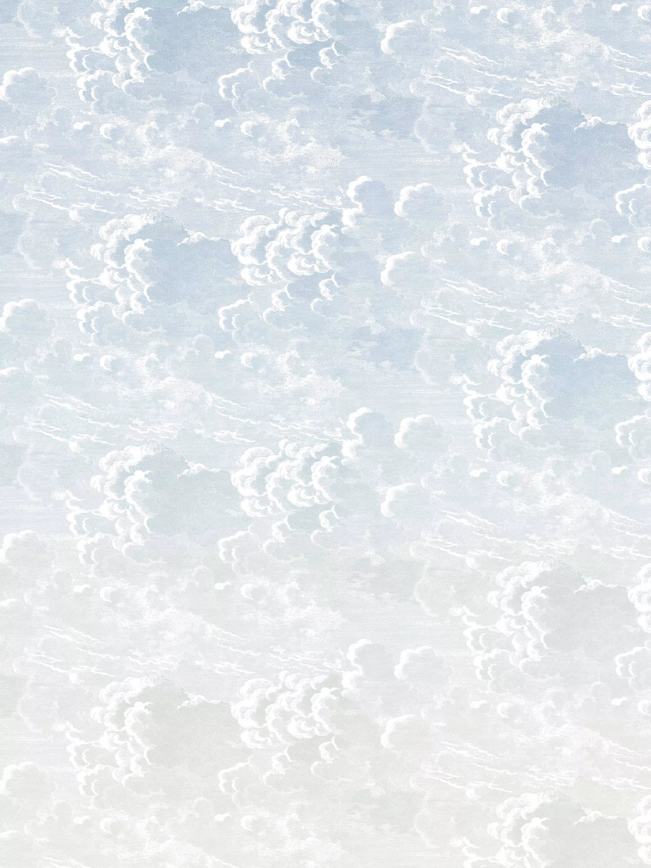 Cole & Son Nuvole al Tramonto wallpaper roll - British product