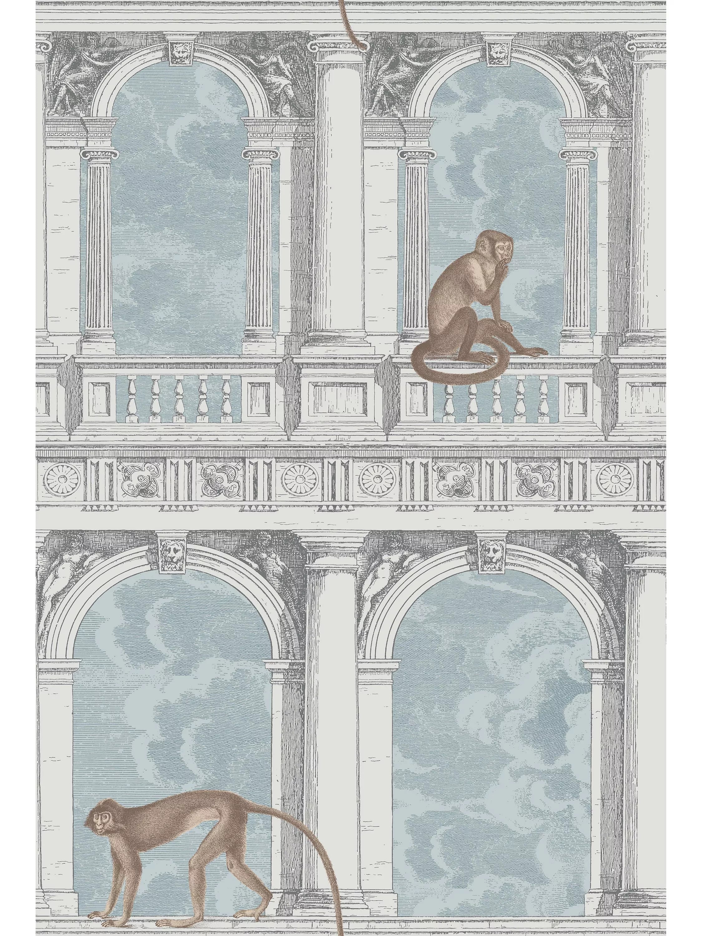 Cole & Son Procuratie con Vista wallpaper roll 10m (British brand)
