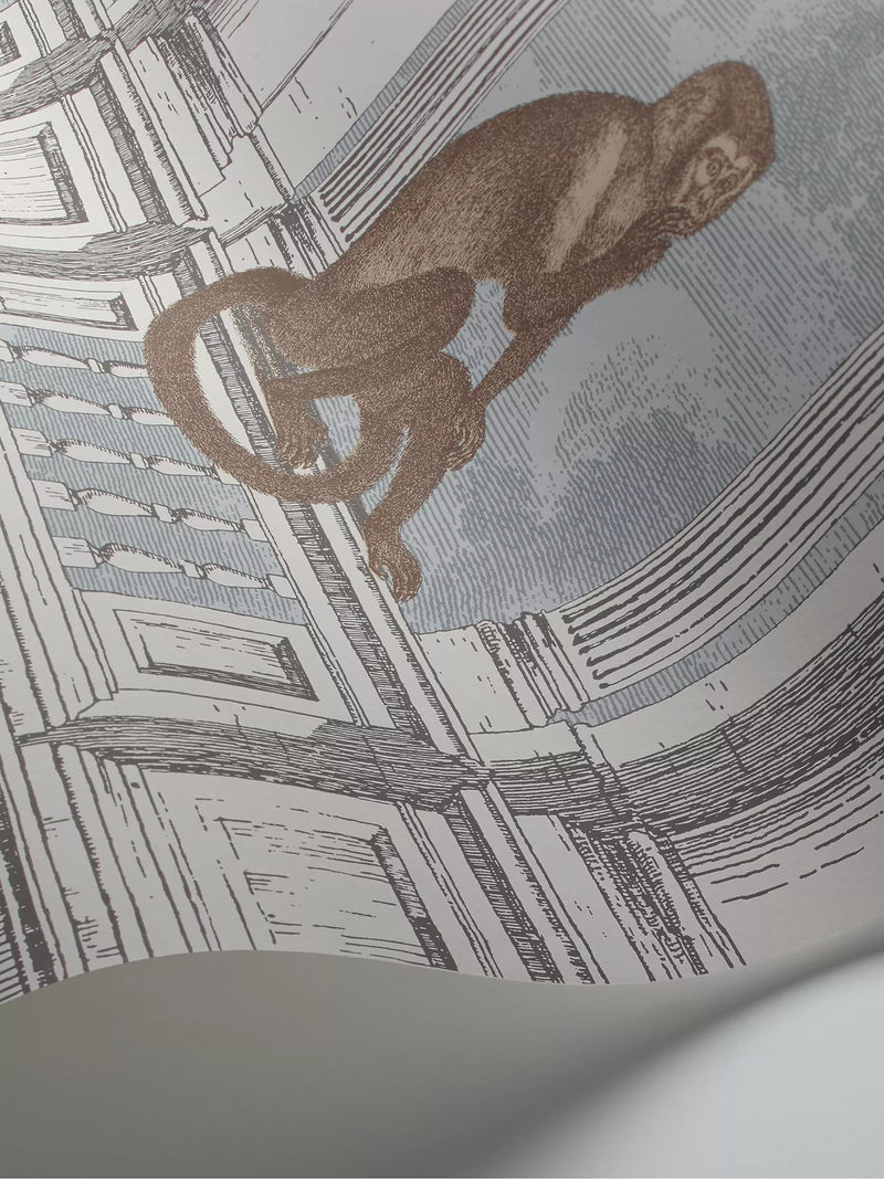 Cole & Son Procuratie con Vista wallpaper roll 10m (British brand)