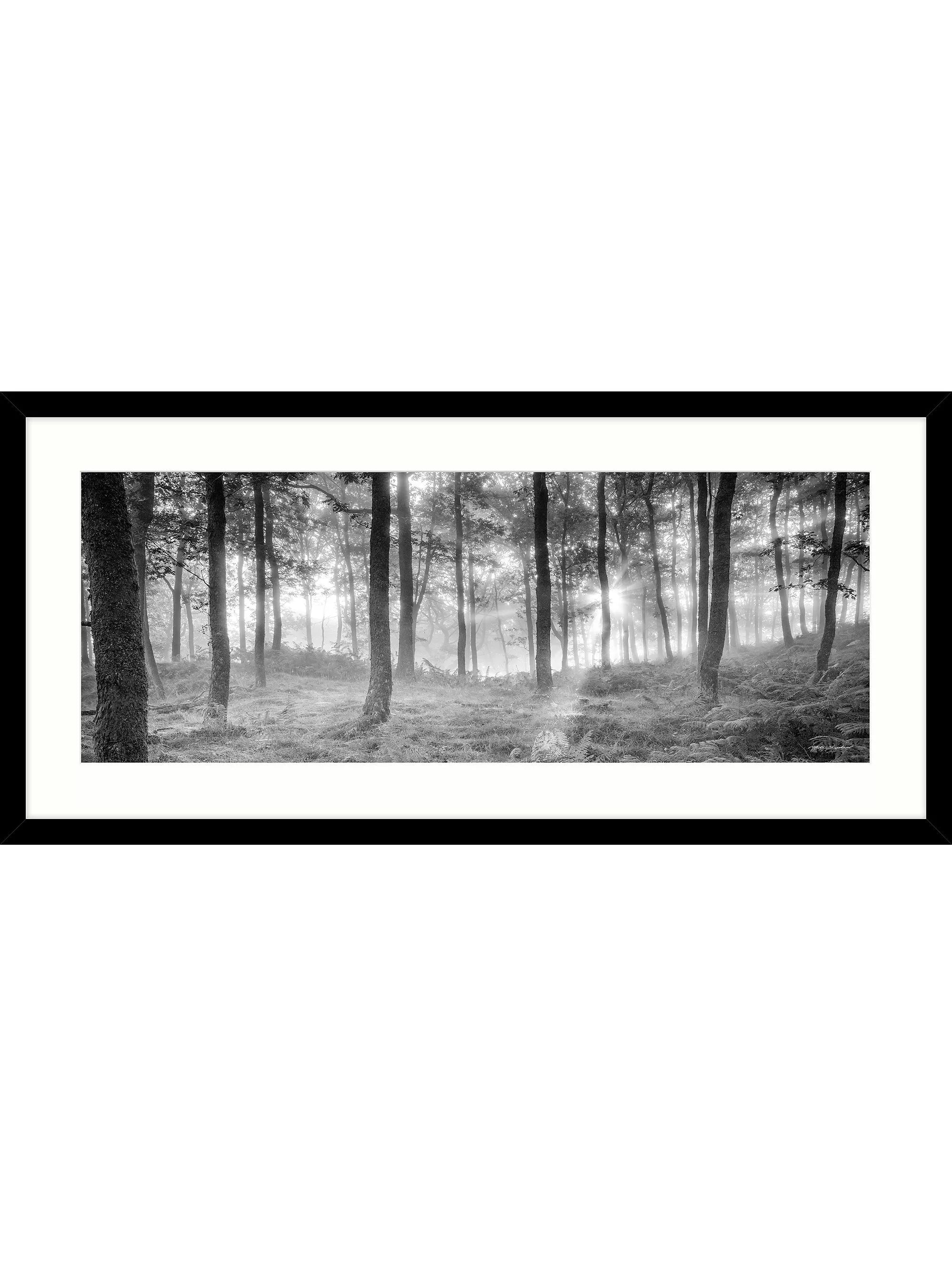 John Lewis framed print Misty Trees 49x104cm, imported from the UK