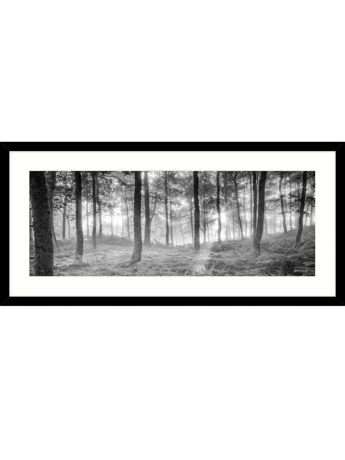 John Lewis framed print Misty Trees 49x104cm, imported from the UK