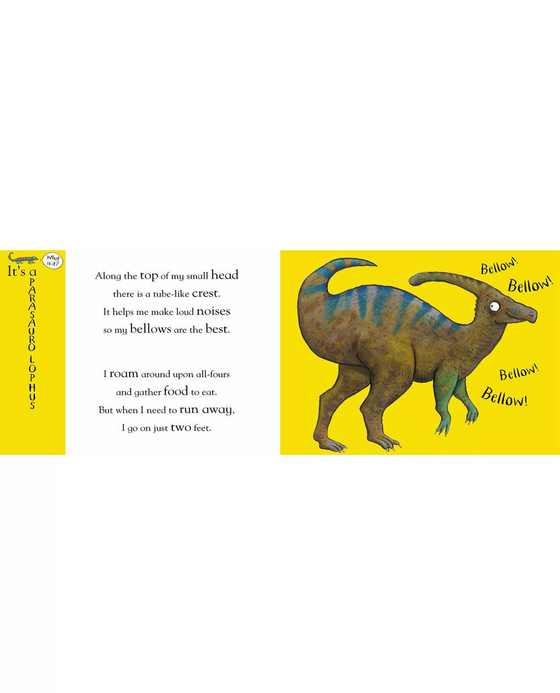 Nosy Crow Flip Flap Dinosaurs children's activity book, UK version