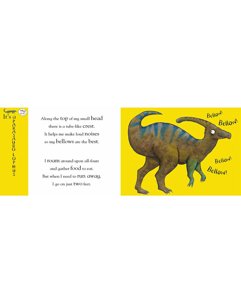 Nosy Crow Flip Flap Dinosaurs children's activity book, UK version