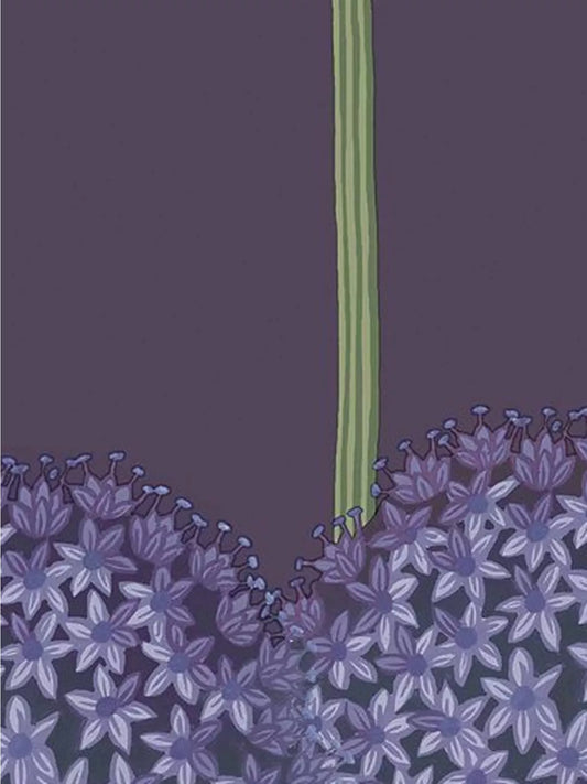 Cole & Son Allium Wallpaper