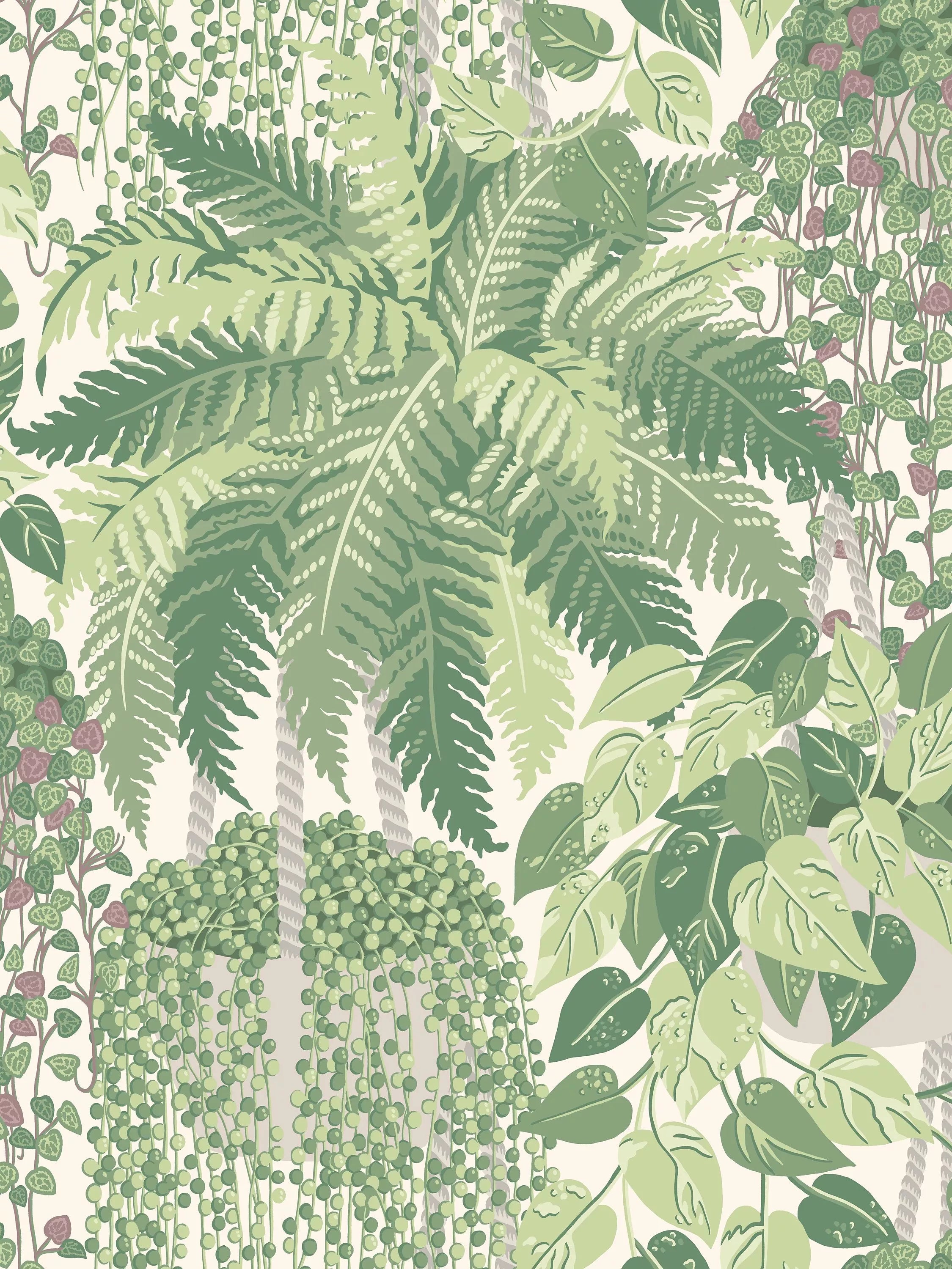 Cole & Son Fern Wallpaper