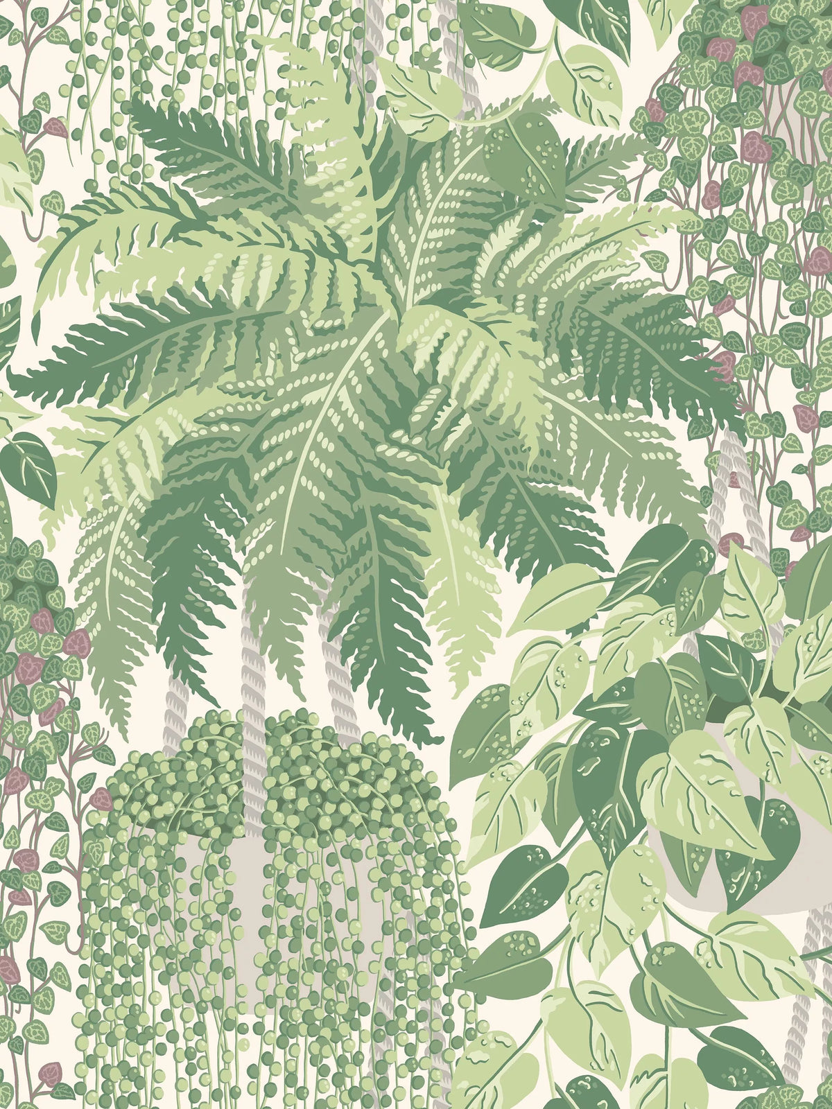 Cole & Son Fern Wallpaper