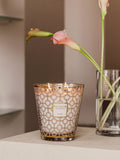 Baobab Collection Woman scented jar candle 1.6kg, imported from the UK