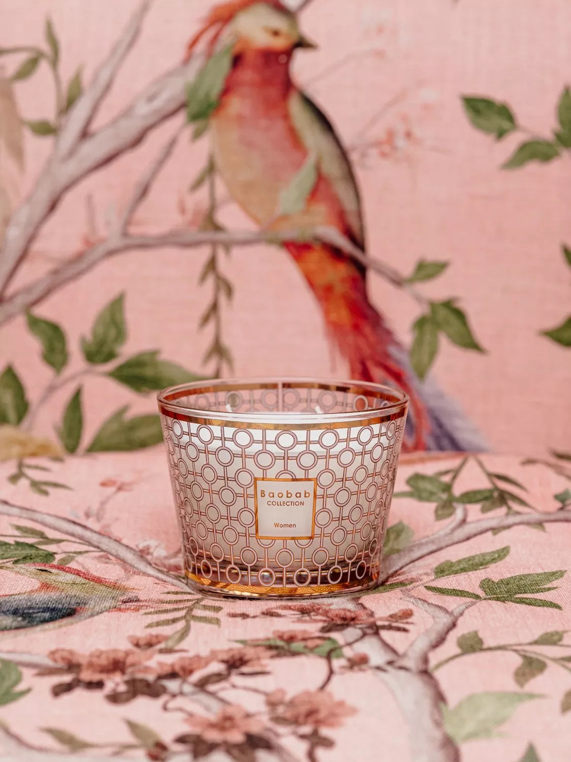 Baobab Collection Max 10 Woman scented jar candle 950g - British product