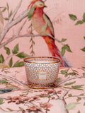 Baobab Collection Max 10 Woman scented jar candle 950g - British product