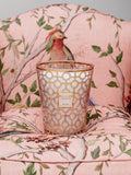 Baobab Collection Woman scented jar candle 3kg, UK version