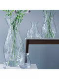 Clear glass flower posy vase by LSA International, 23cm tall, UK version