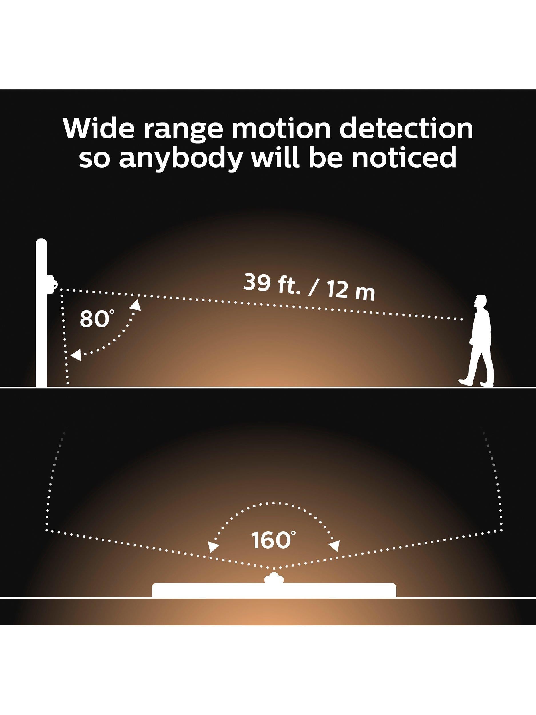 Philips Hue outdoor PIR motion sensor (British brand)