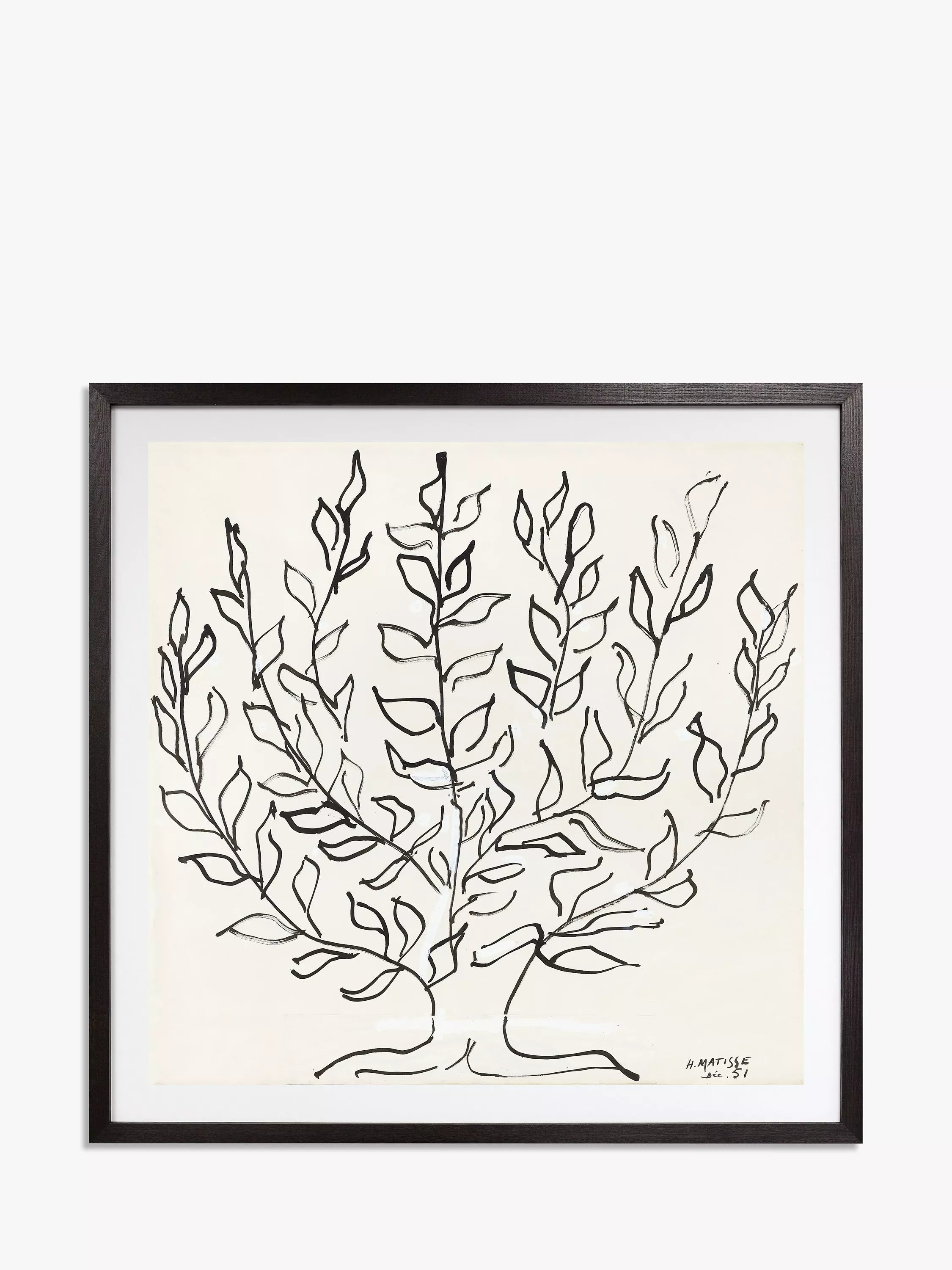John Lewis Matisse The Plain Tree framed print 102x102cm, UK version